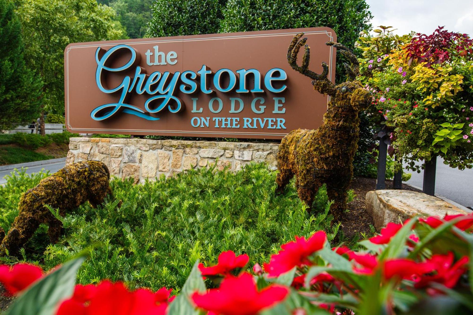 Greystone Lodge On The River Гетлинбург Екстериор снимка